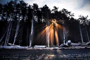 Sunburst on Rialto Beach-2389